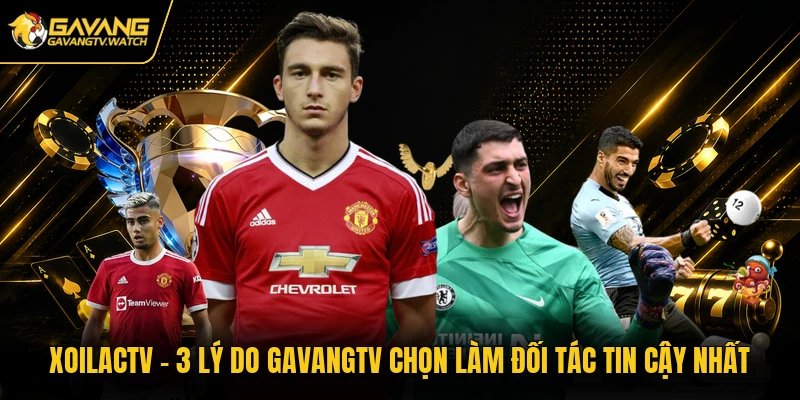 Xoilactv – 3 Lý Do Gavangtv Chọn Làm Đối Tác Tin Cậy Nhất