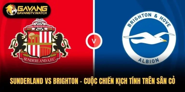 Sunderland vs Brighton – Cuộc Chiến Kịch Tính Trên Sân Cỏ
